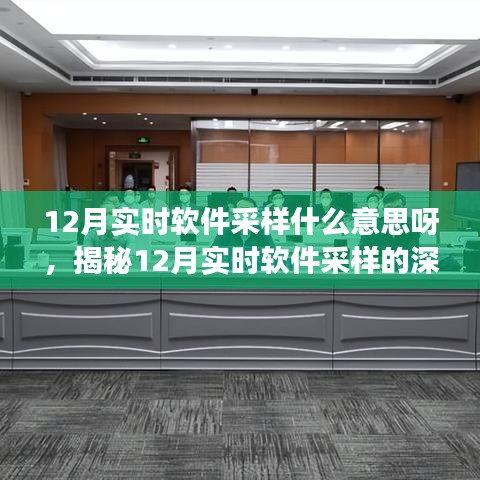 揭秘，12月实时软件采样的深层含义与操作解析