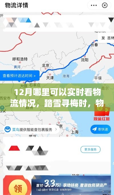 踏雪寻梅时，物流暖心相伴，十二月物流实时追踪与心灵旅行的融合体验