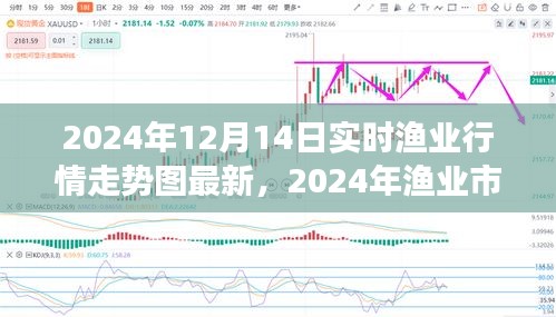 2024年渔业市场风向解析，实时行情走势图深度评测与最新动态