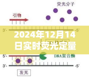 QS5荧光定量PCR仪，探索自然秘境，寻找宁静绿洲之旅