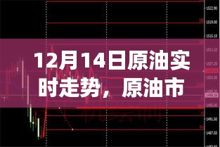 揭秘，十二月十四日原油市场风云变幻的实时走势故事