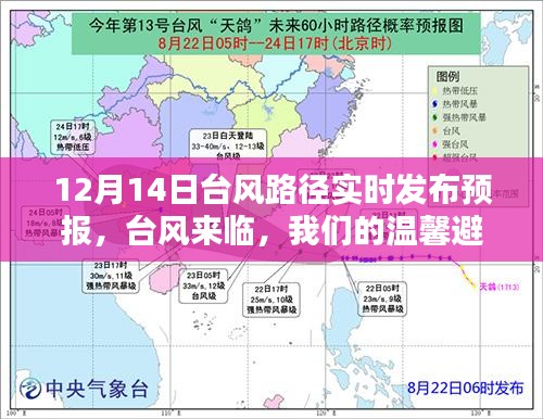 台风来临，温馨避风港——12月14日台风路径实时发布预报