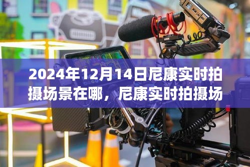 揭秘尼康实时拍摄场景，捕捉精彩瞬间的体验之旅（2024年12月14日）