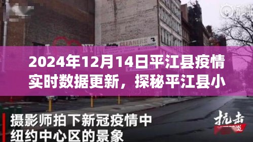 平江县疫情实时数据与小巷深处的独特风味，疫情之下的惊喜发现