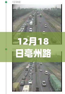 揭秘亳州交通变迁，12月18日路况视频实时查询微观脉络展示