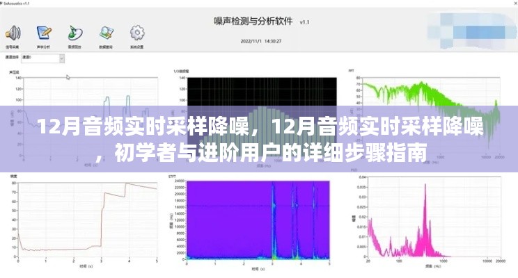 12月音频实时采样降噪，从初学者到进阶用户的详细步骤指南