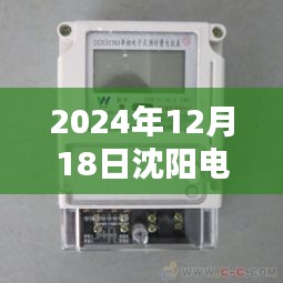 沈阳电表实时电费价格指南，2024年查询方法与费用详解