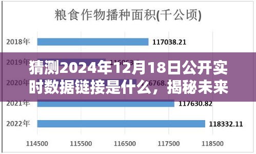 揭秘与预测，2024年公开实时数据链接揭秘及趋势分析​​​​