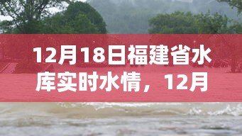 福建省水库实时水情报告，全面评测与详细介绍（12月18日）