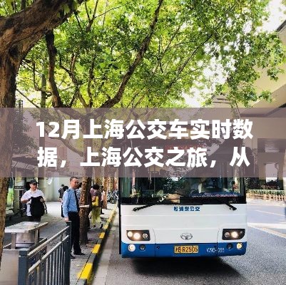 上海公交实时数据之旅，探寻城市深处的自然脉动