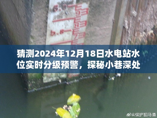 水电站水位实时分级预警探秘，小巷特色小店揭示未来趋势与2024年预测分析