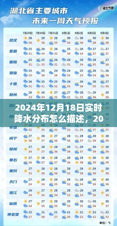 雨幕下的世界，2024年12月18日实时降水分布纪实