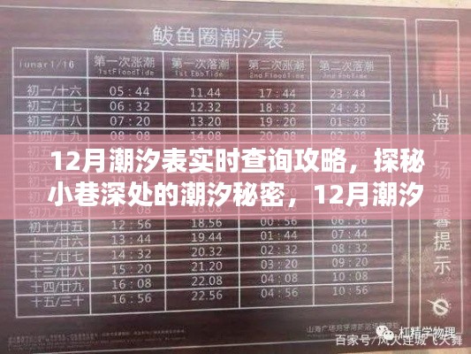 揭秘潮汐秘密，12月潮汐表实时查询攻略与特色小店探秘之旅