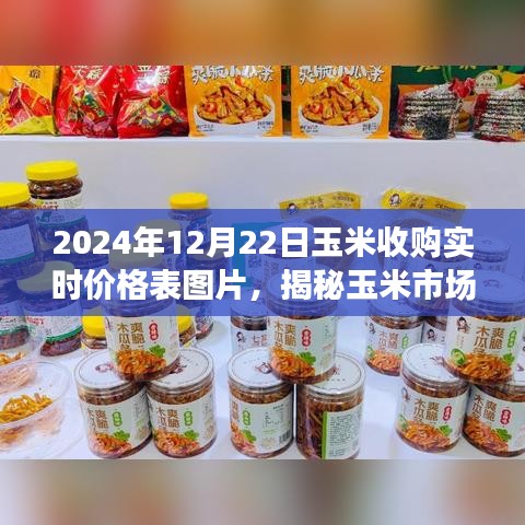 揭秘玉米市场风云，2024年12月22日玉米收购实时价格表解读及图片展示