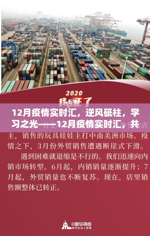 逆风砥柱，学习之光，12月疫情实时汇报，共筑希望桥梁