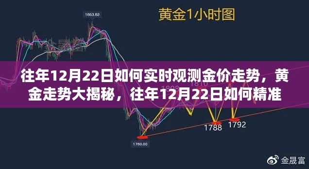 揭秘黄金走势，往年12月22日的精准实时观测金价动态策略