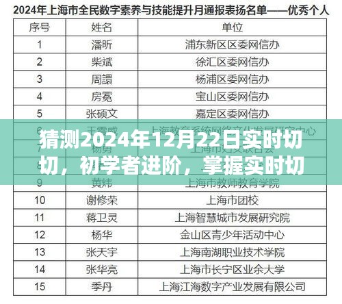 初学者进阶指南，掌握实时切切技能，预测并应对未来挑战——2024年实时切切入门手册