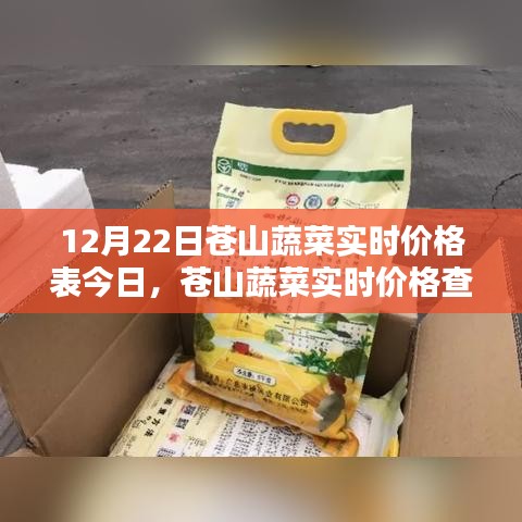 12月22日苍山蔬菜实时价格表及查询指南，初学者与进阶用户适用