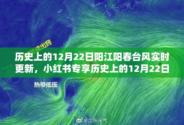 历史上的12月22日阳江阳春台风实时更新纪实，小红书专享台风纪实播报