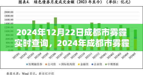 2024年成都市雾霾实时查询分析与应对策略，雾霾状况及应对方法