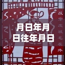 历史与实时字幕翻译插件探索，详细步骤指南与月日月日视频字幕翻译实时插件揭秘