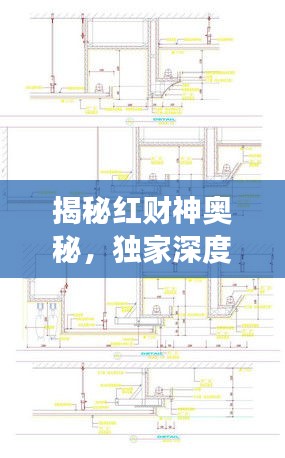 揭秘红财神奥秘，独家深度解读资料