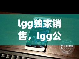 lgg独家销售，lgg公司简介 