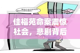 佳福苑命案震惊社会，悲剧背后的深刻反思