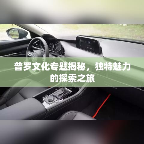 普罗文化专题揭秘，独特魅力的探索之旅