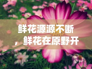 鲜花源源不断，鲜花在原野开放是什么歌 