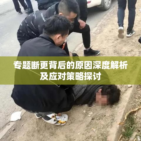 专题断更背后的原因深度解析及应对策略探讨