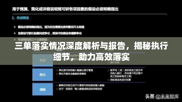 三单落实情况深度解析与报告，揭秘执行细节，助力高效落实