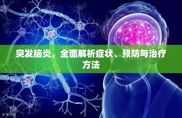 突发脑炎，全面解析症状、预防与治疗方法