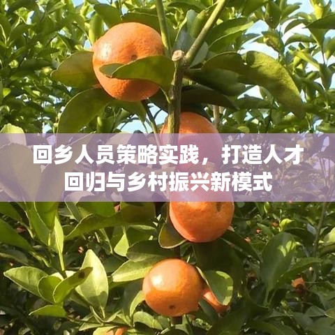 回乡人员策略实践，打造人才回归与乡村振兴新模式