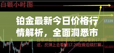 铂金最新今日价格行情解析，全面洞悉市场走势！