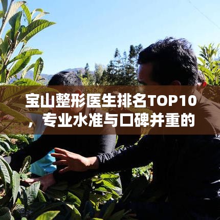 宝山整形医生排名TOP10，专业水准与口碑并重的行业翘楚