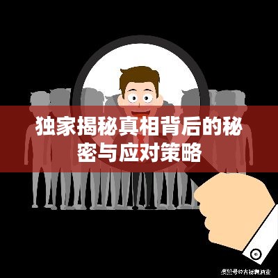 独家揭秘真相背后的秘密与应对策略