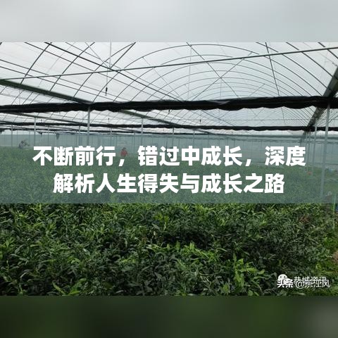 不断前行，错过中成长，深度解析人生得失与成长之路