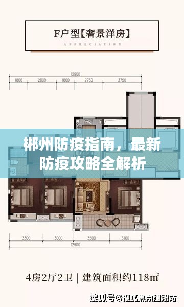 郴州防疫指南，最新防疫攻略全解析