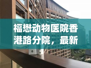 福懋动物医院香港路分院，最新评价揭秘，宠物健康守护者的专业水准！