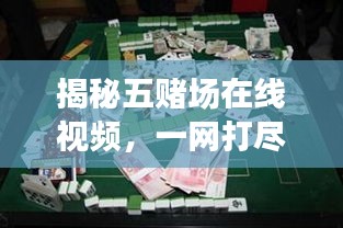 揭秘五赌场在线视频，一网打尽，百度带你玩转线上赌博世界！