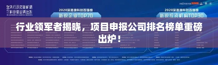 行业领军者揭晓，项目申报公司排名榜单重磅出炉！