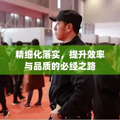 精细化落实，提升效率与品质的必经之路