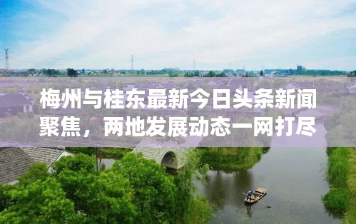 梅州与桂东最新今日头条新闻聚焦，两地发展动态一网打尽