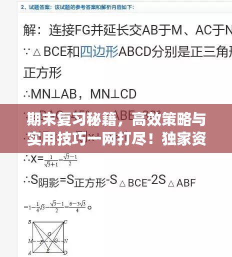 期末复习秘籍，高效策略与实用技巧一网打尽！独家资料助你冲刺备考！