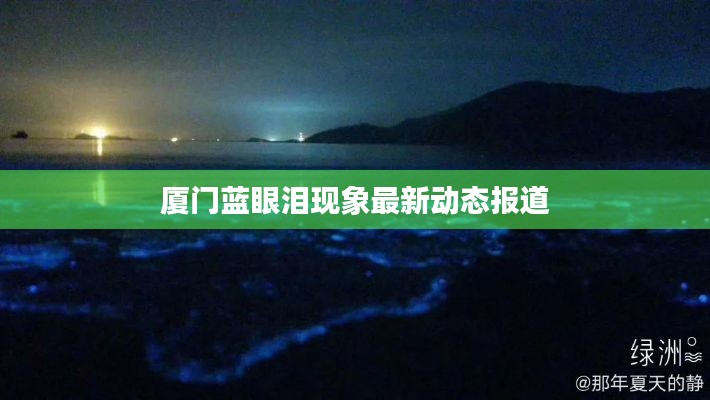 厦门蓝眼泪现象最新动态报道