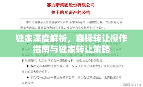 独家深度解析，商标转让操作指南与独家转让策略