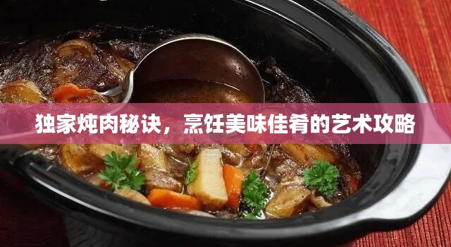 独家炖肉秘诀，烹饪美味佳肴的艺术攻略