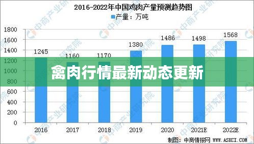 禽肉行情最新动态更新