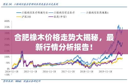 合肥橡木价格走势大揭秘，最新行情分析报告！